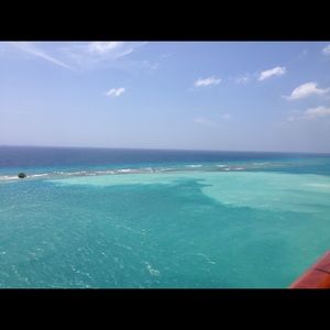 Meet your Posher, Patty